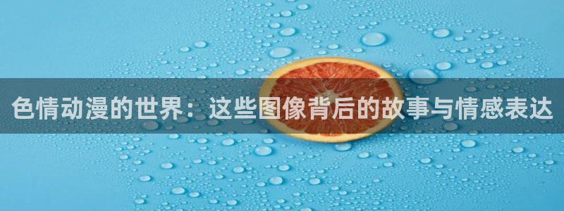 天天动漫网入口登录
