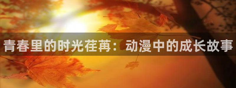 天天动漫网站：青春里的时光荏苒：动漫中的成长故事