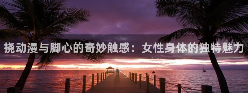天天动漫下载